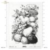 martwa natura retro, w czerni i bieli. Oowoce, agrest, maliny, kiść, czerwona porzeczka, gruszki, morele